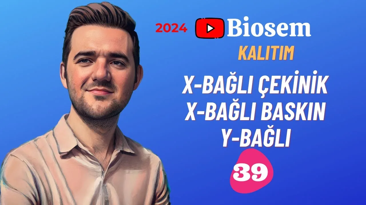 Biosem X ve Y Bağlı Kalıtım Konu Anlatımı PDF - PDF'yi indirmek için tıklayın! TYT BİYOLOJİ X VE Y BAĞLI KA...