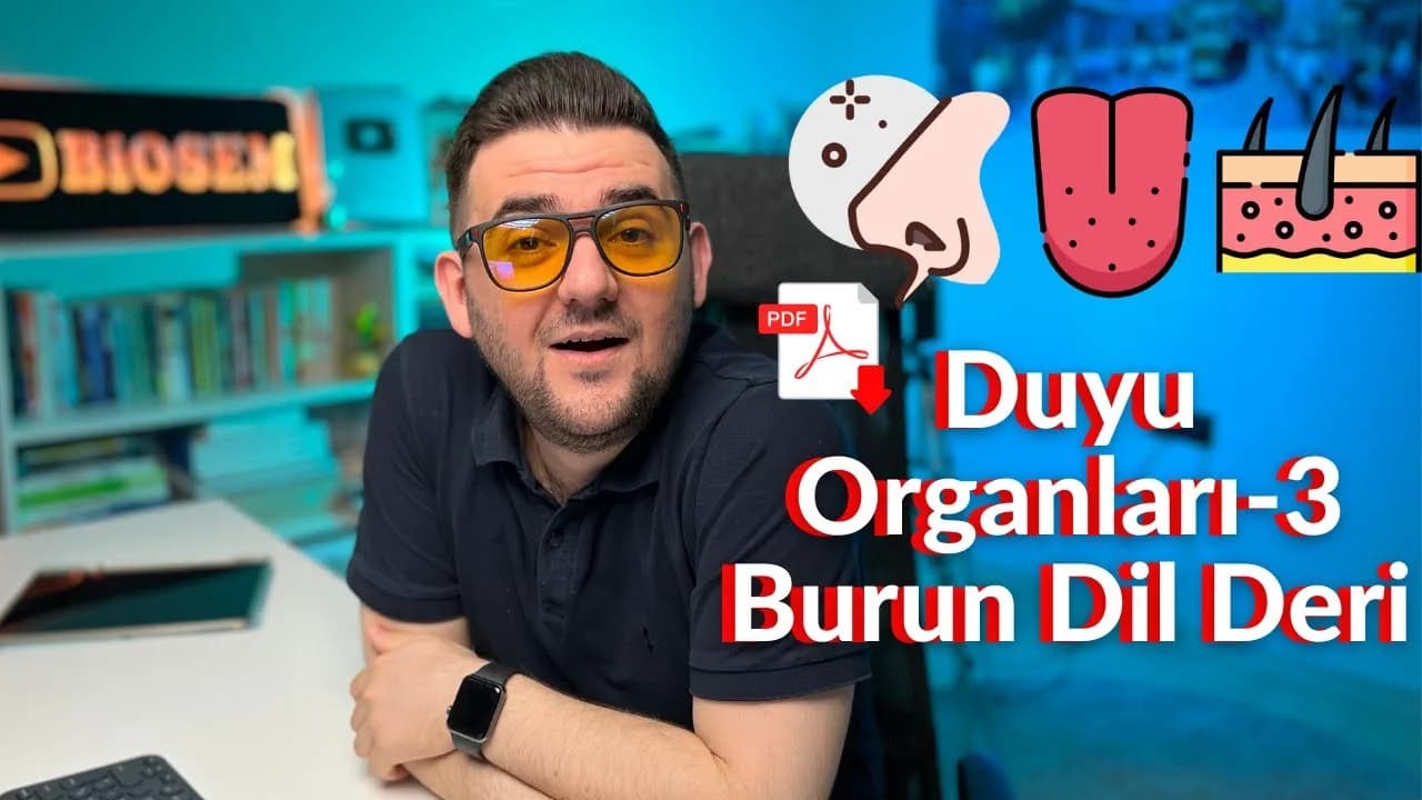 Biosem - Duyu Organları Burun, Dil, Deri Konu Anlatımı PDF