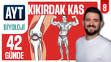 8.Gün: Kas Kıkırdak Doku Eklemler video önizlemesi