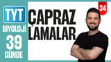 34.Gün: Çaprazlamalar video önizlemesi