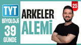25.Gün: Arkeler Alemi video önizlemesi