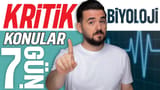 7.Gün: Madde Döngüleri video önizlemesi