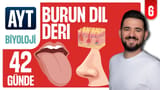 6.Gün: Burun Dil Deri video önizlemesi