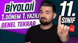 Biyoloji Yazılı Genel Tekrarı video önizlemesi