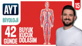 15.Gün: Kan Damarları Soru Çözümü video önizlemesi