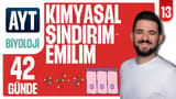 13.Gün: Sindirim Emilim Genel Tekrar video önizlemesi