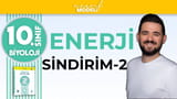 Canlılarda Sindirim Yapıları video önizlemesi