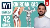 8.Gün: Kıkırdak ve Kas Doku video önizlemesi