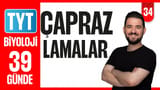 34.Gün: Çaprazlamalar video önizlemesi