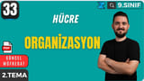 Organizasyon video önizlemesi