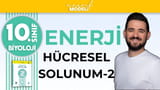 Oksijenli Solunum - KREBS Döngüsü video önizlemesi