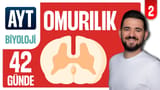2.Gün: Omurilik ÇSS video önizlemesi