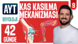 9.Gün: Kas Kasılması ve Genel Tekrar video önizlemesi
