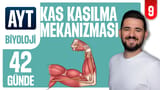 9.Gün: Kas Kasılma Mekanizması video önizlemesi