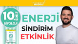 Sindirim video önizlemesi
