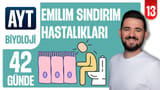 13.Gün: Emilim Sindirim Hastalıkları video önizlemesi