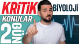 2.Gün: Karbohidrat Lipit Protein video önizlemesi