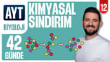 12.Gün: Kimyasal Sindirim video önizlemesi