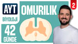 2.Gün: Omurilik ve Çevresel Sinir Sistemi video önizlemesi