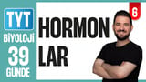 6.Gün: Hormonlar video önizlemesi