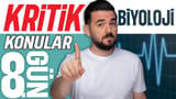 8.Gün: Sınıflandırma-Bakteri-Arke video önizlemesi