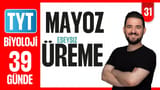 31.Gün: Mayoz video önizlemesi