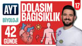 17.Gün: Dolaşım - Bağışıklık Sistemi Soru Çözümü video önizlemesi