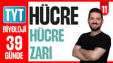 11.Gün: Hücre - Hücre Zarı video önizlemesi