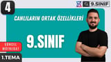 Canlıların Ortak Özellikleri video önizlemesi