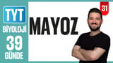 32.Gün: Mayoz video önizlemesi