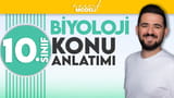 Ekoloji ile ilgili kavramlar video önizlemesi