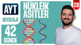 28.Gün: Nükleik Asitler, Replikasyon video önizlemesi