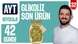 32.Gün: Glikoliz - Son Ürün Evresi video önizlemesi