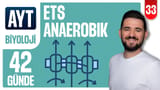 33.Gün: ETS ve Anaerobik Solunum video önizlemesi