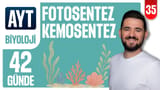 35.Gün: Fotosentez Kemosentez video önizlemesi