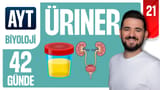 21.Gün: Üriner Sistem Genel Tekrar video önizlemesi