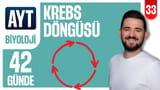 33.Gün: Krebs Döngüsü (Sitrik Asit Döngüsü) video önizlemesi