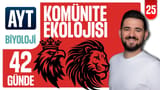 25.Gün: Komünite Ekolojisi-2 Soru Çözümü video önizlemesi