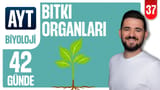 37.Gün: Bitki Organları video önizlemesi