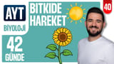 40.Gün: Bitkide Hareket video önizlemesi