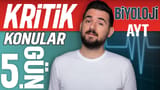 5.Gün: Dolaşım Sistemi video önizlemesi