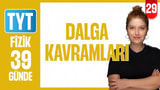 29. Gün: Dalga Kavramları video önizlemesi