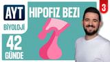 3.Gün: Hipofiz Bezi video önizlemesi