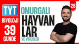 28.Gün: Omurgalı Hayvanlar ve Virüsler video önizlemesi