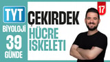 17.Gün: Çekirdek Hücre İskeleti video önizlemesi