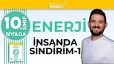 İnsanda Sindirim video önizlemesi