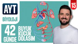 15.Gün: Atar Toplar Kılcal Damar Kan Dolaşımı video önizlemesi