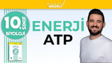 ATP Yapısı video önizlemesi