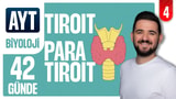 4.Gün: Tiroit Paratiroit Bezi video önizlemesi