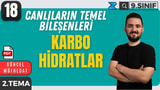 Karbohidratlar video önizlemesi